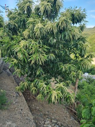 김용대님의 자유주제 · 자유게시판 작성글 사진