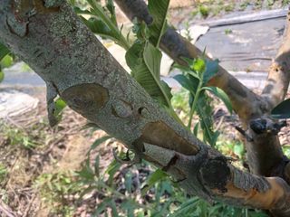 금동이네님의 자유주제 · 자유게시판 작성글 사진