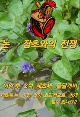 팜모닝 자유주제·자유게시판 게시글 이미지