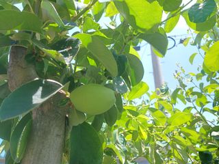 금동이네님의 자유주제 · 자유게시판 작성글 사진