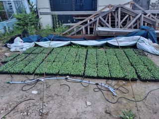 원인호님의 자유주제 · 자유게시판 작성글 사진