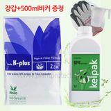 팜모닝 · 게시글 이미지