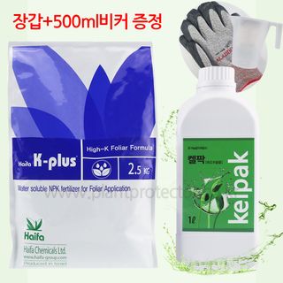 식물보호닷컴님의 작성글 사진