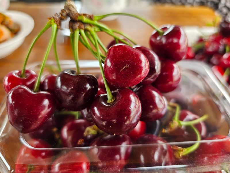 이중재님의 장터 판매 상품 [체리(흑자색) 1kg] 첨부 사진