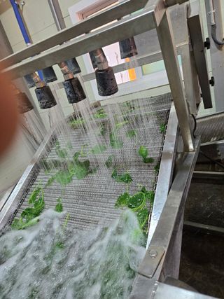 서동일님의 작성글 사진