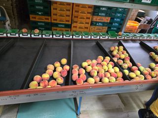 최홍선님의 작성글 사진