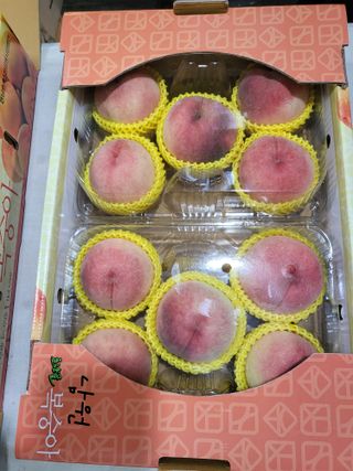 최홍선님의 작성글 사진