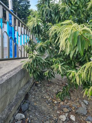 김용대님의 자유주제 · 자유게시판 작성글 사진