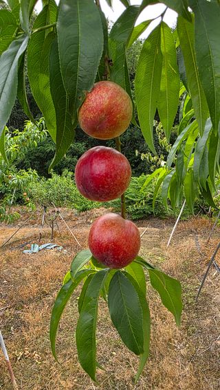 한만석님의 자유주제 · 자유게시판 작성글 사진