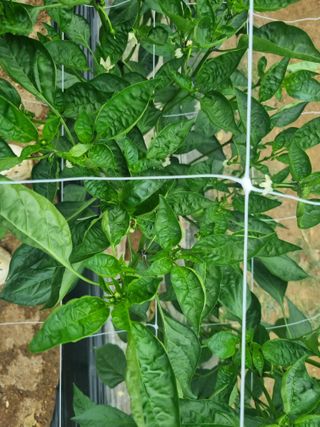 원인호님의 자유주제 · 자유게시판 작성글 사진