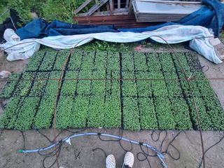 원인호님의 자유주제 · 자유게시판 작성글 사진