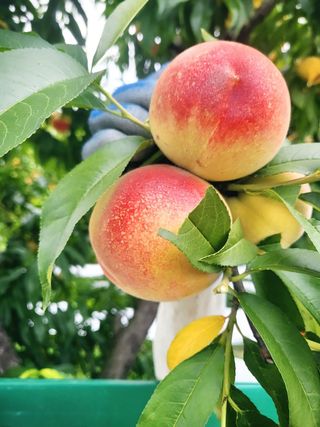 최홍선님의 작성글 사진