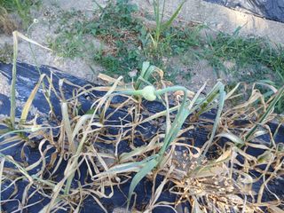 상추14154님의 자유주제 · 자유게시판 작성글 사진