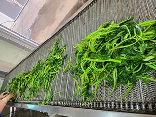 서동일님의 작성글 사진