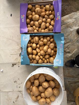 유경희님의 자유주제 · 자유게시판 작성글 사진