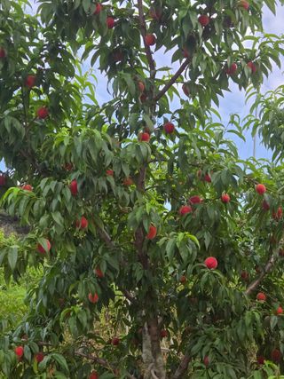 최홍선님의 작성글 사진