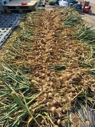 김영문님의 자유주제 · 자유게시판 작성글 사진