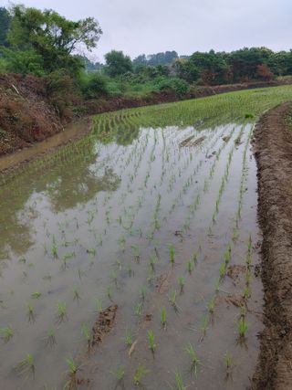 강경옥님의 자유주제 · 자유게시판 작성글 사진