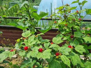 원인호님의 자유주제 · 자유게시판 작성글 사진