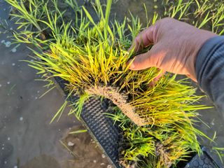 서해숙님의 자유주제 · 자유게시판 작성글 사진