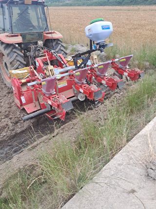 김영진(전남영광)님의 자유주제 · 자유게시판 작성글 사진