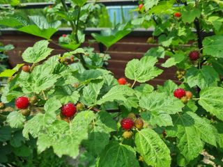 원인호님의 자유주제 · 자유게시판 작성글 사진