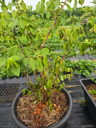 비타민님의 자유주제 · 자유게시판 작성글 사진