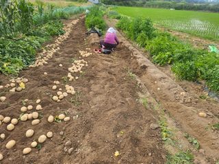 오영관님의 자유주제 · 자유게시판 작성글 사진