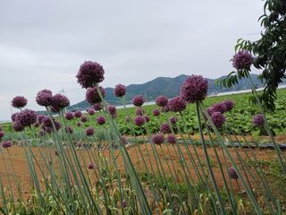 유영옥님의 자유주제 · 자유게시판 작성글 사진