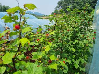 원인호님의 자유주제 · 자유게시판 작성글 사진