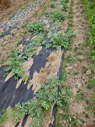 정재남님의 자유주제 · 자유게시판 작성글 사진