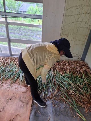 문영식님의 자유주제 · 자유게시판 작성글 사진