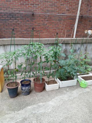 윤석돈님의 자유주제 · 자유게시판 작성글 사진