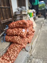 팜모닝 자유주제·자유게시판 게시글 이미지