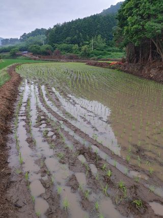 강경옥님의 자유주제 · 자유게시판 작성글 사진