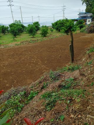 강경옥님의 자유주제 · 자유게시판 작성글 사진