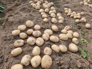 오영관님의 자유주제 · 자유게시판 작성글 사진