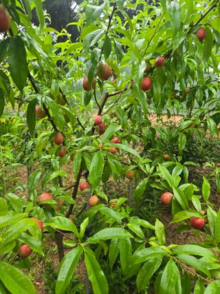 자연인님의 자유주제 · 자유게시판 작성글 사진