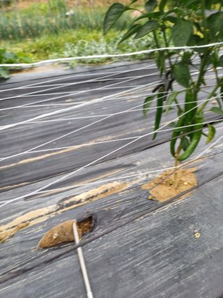 유영옥님의 자유주제 · 자유게시판 작성글 사진