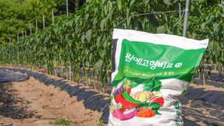 누보농장님의 자유주제 · 자유게시판 작성글 사진