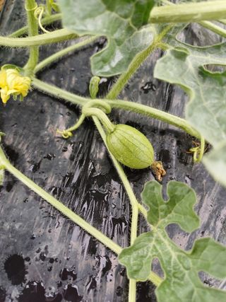 유영옥님의 자유주제 · 자유게시판 작성글 사진