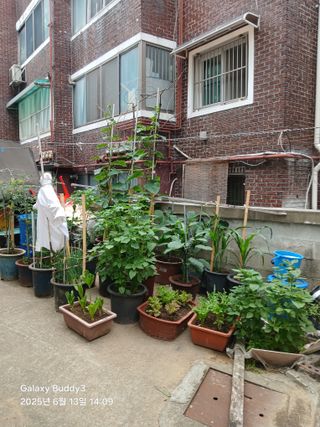 윤석돈님의 자유주제 · 자유게시판 작성글 사진