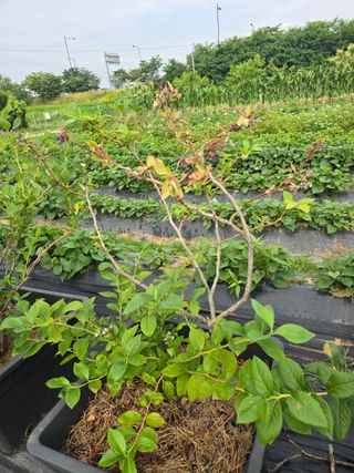 비타민님의 자유주제 · 자유게시판 작성글 사진