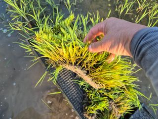 서해숙님의 자유주제 · 자유게시판 작성글 사진