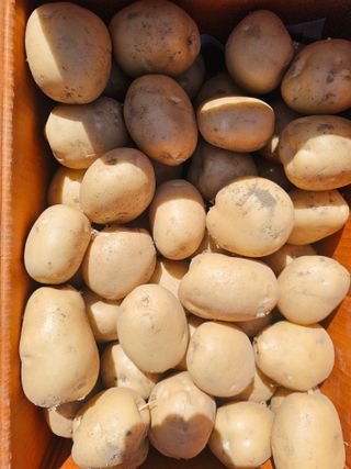 오영관님의 자유주제 · 자유게시판 작성글 사진