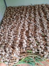 팜모닝 자유주제·자유게시판 게시글 이미지