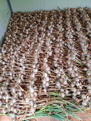 문영식님의 자유주제 · 자유게시판 작성글 사진