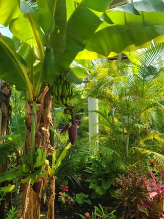 은혜농원(사과농사)님의 자유주제 · 자유게시판 작성글 사진