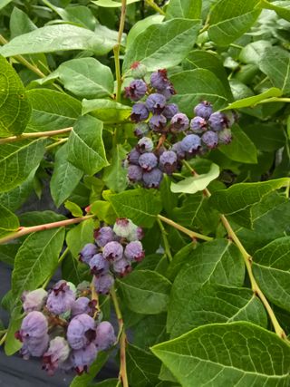 비타민님의 자유주제 · 자유게시판 작성글 사진