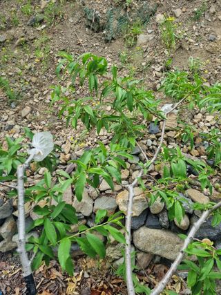 김용대님의 자유주제 · 자유게시판 작성글 사진